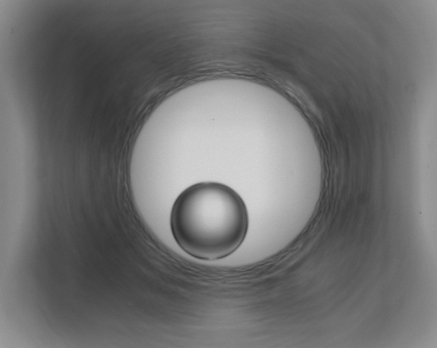 X0000111810509200907231018