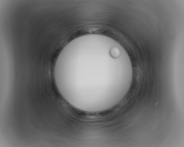 X0000111810510200907231018
