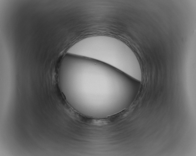 X0000111810520200907231018