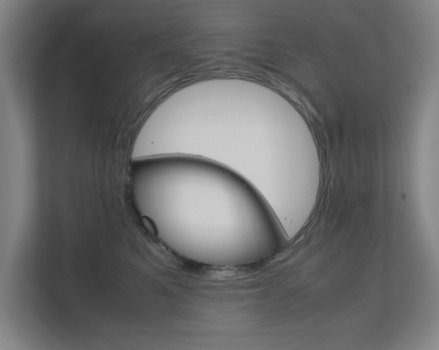 X0000111810521200907231018