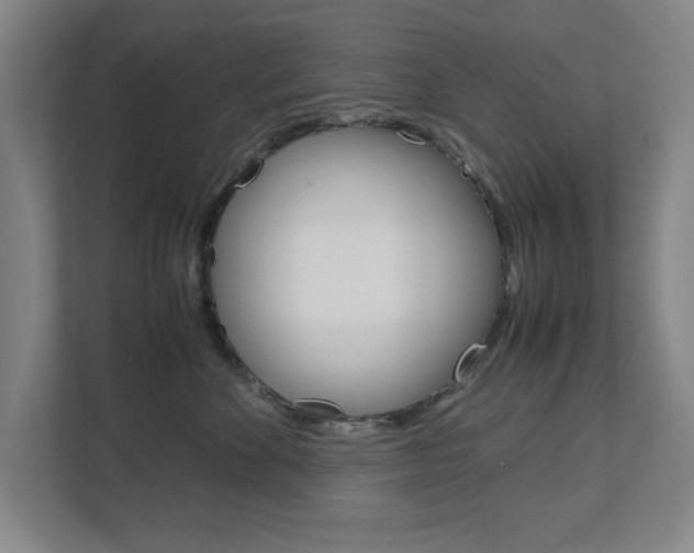 X0000111810524200907231018
