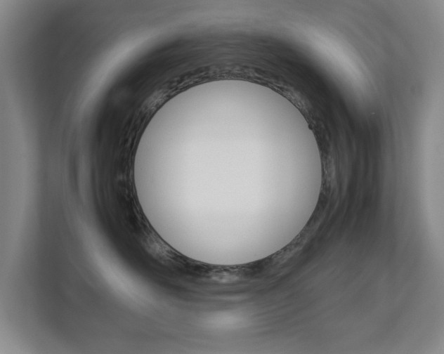 X0000111810526200907231018