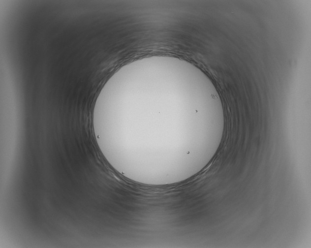 X0000111810528200907231018