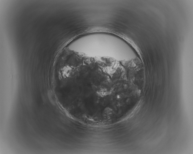 X0000111810529200907231018