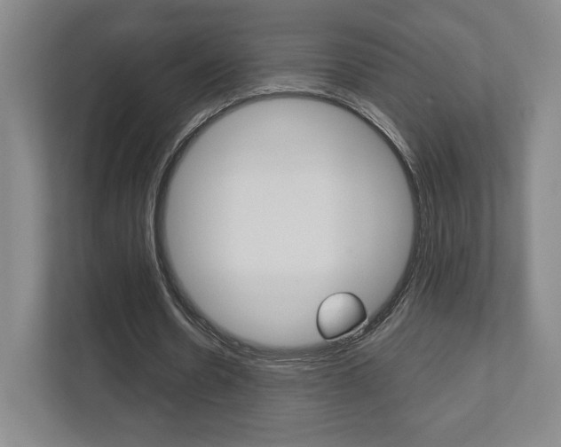 X0000111810530200907231018