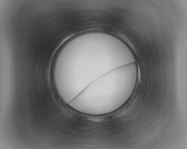 X0000111810531200907231018