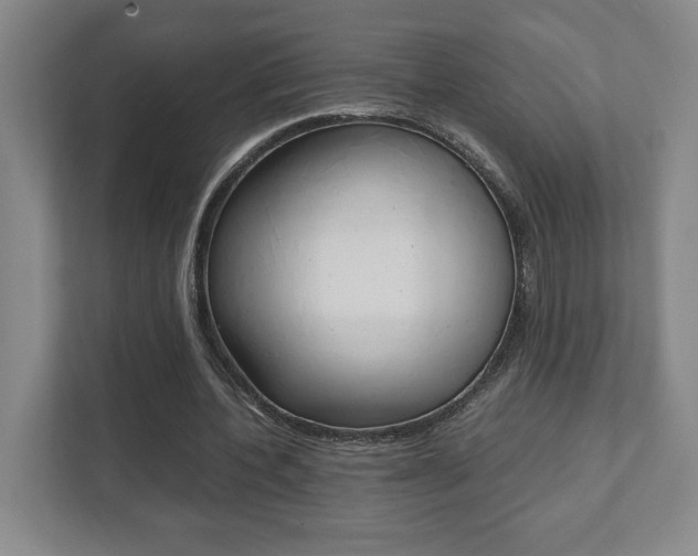 X0000111810532200907231018
