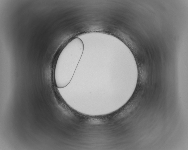 X0000111810534200907231018