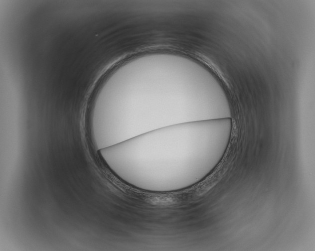 X0000111810535200907231018