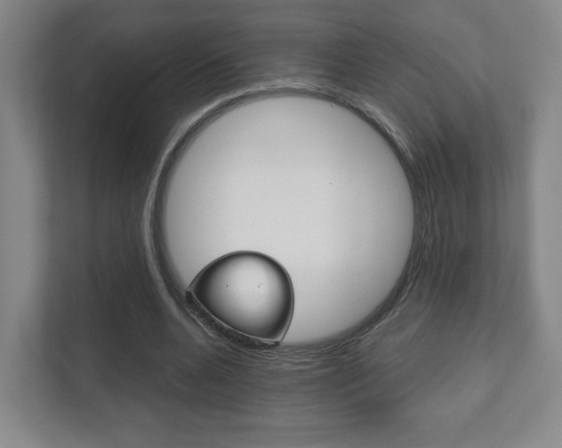 X0000111810536200907231018