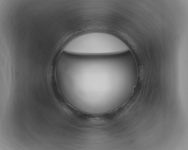 X0000111810544200907231018