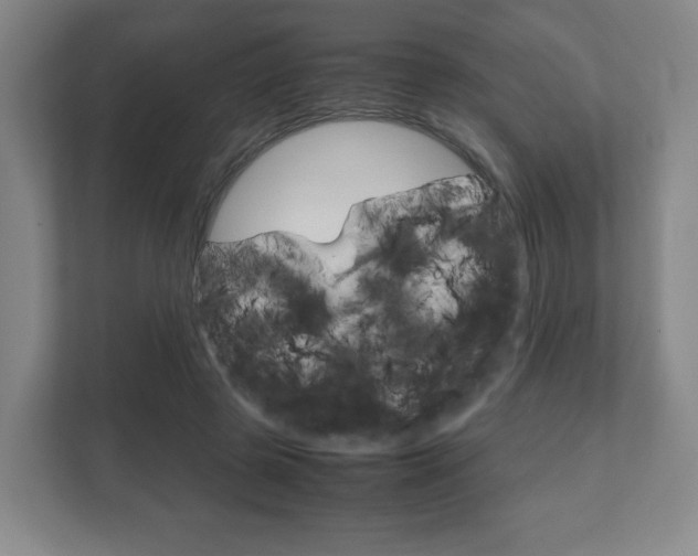X0000111810545200907231018