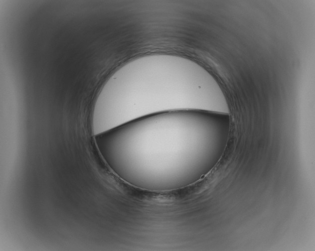 X0000111810546200907231018