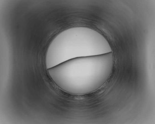 X0000111810547200907231018