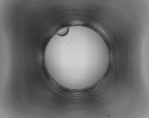 X0000111810549200907231018