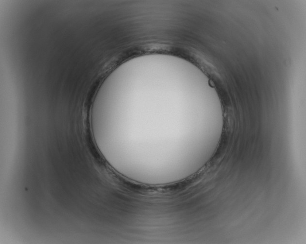X0000111810550200907231018