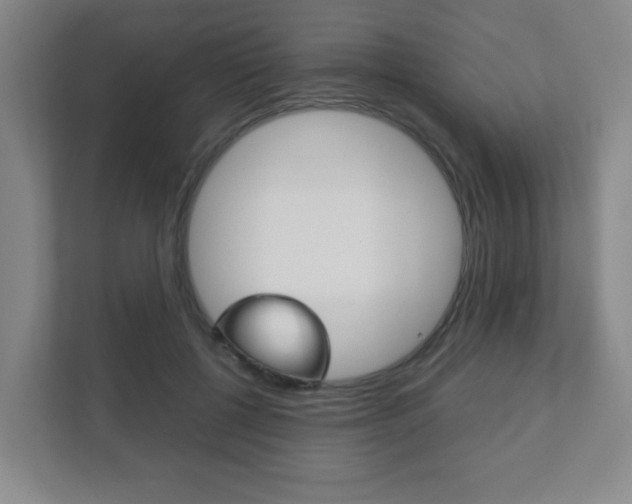X0000111810552200907231018