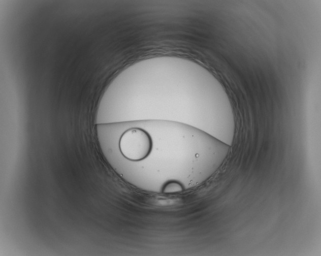 X0000111810555200907231018