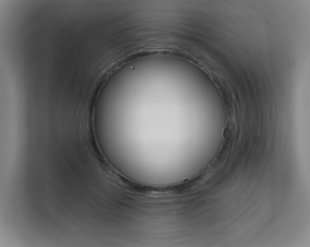 X0000111810556200907231018