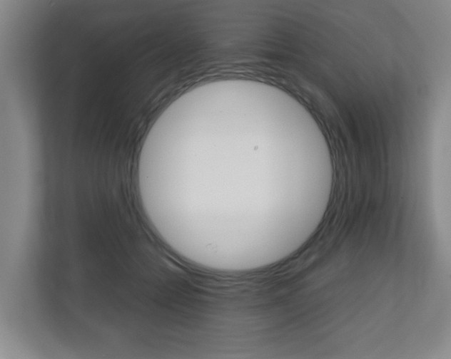 X0000111810558200907231018