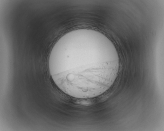 X0000111810559200907231018