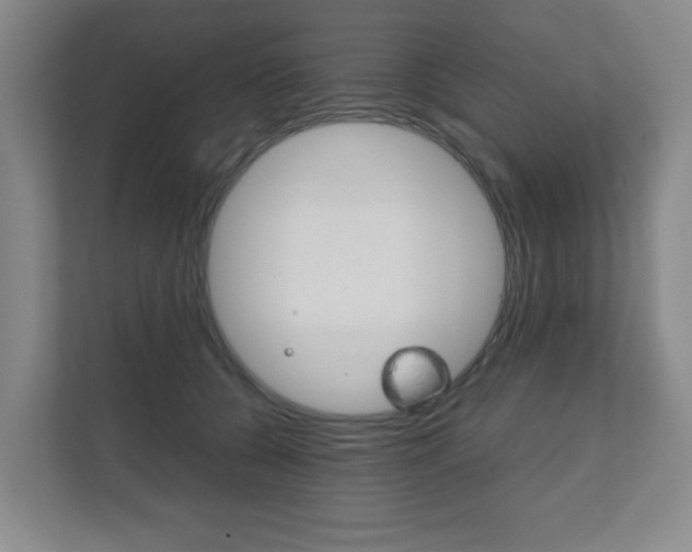 X0000111810560200907231018