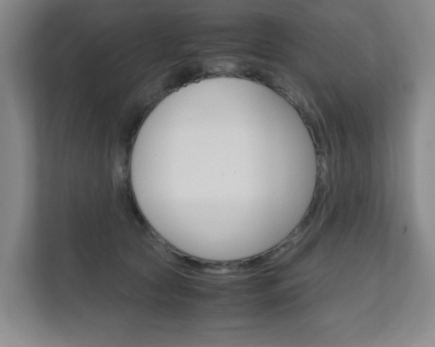 X0000111810561200907231018
