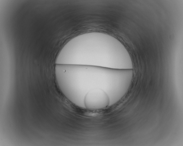 X0000111810563200907231018