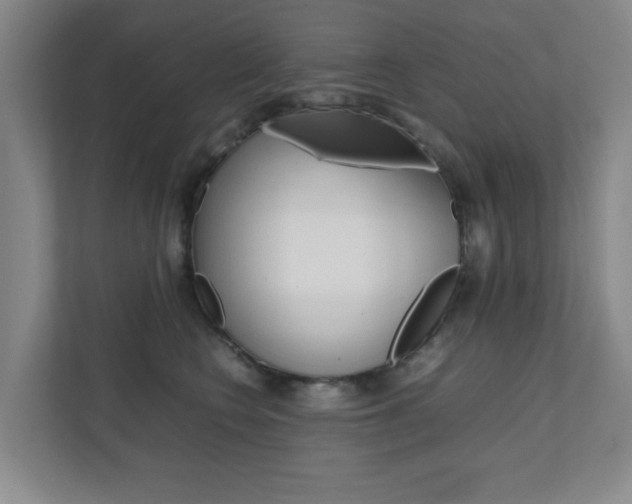 X0000111810566200907231018