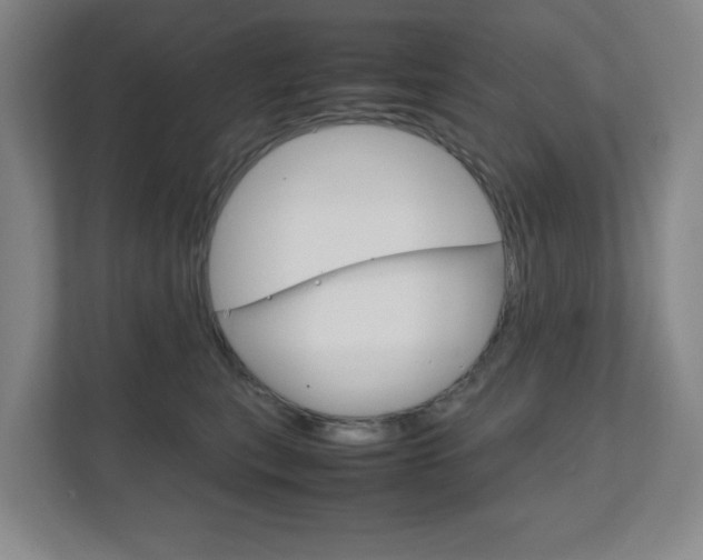 X0000111810567200907231018
