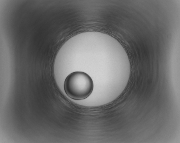 X0000111810568200907231018