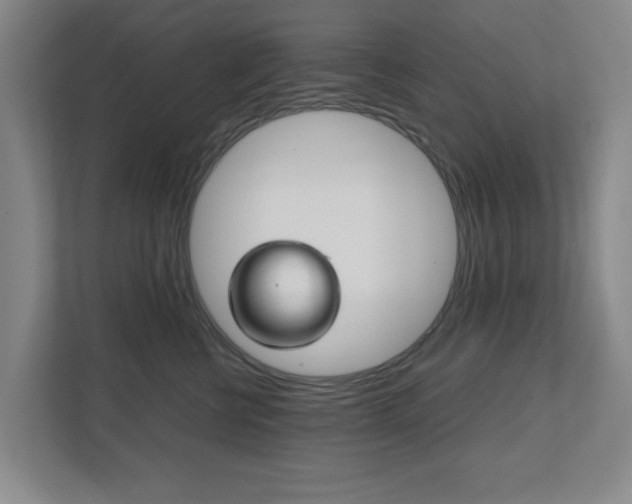 X0000111810570200907231018