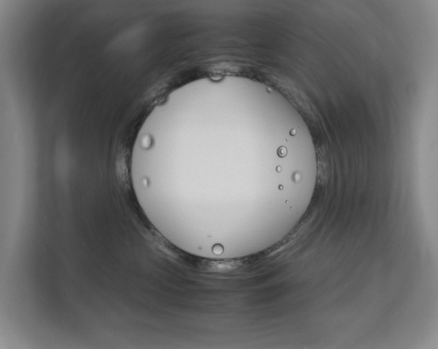 X0000111810573200907231018