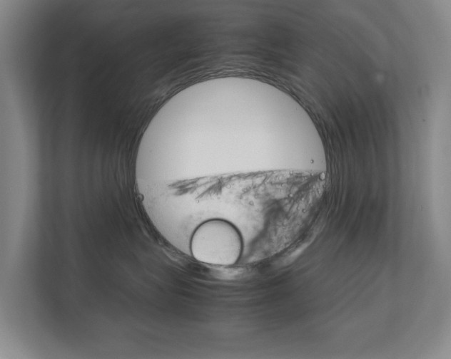 X0000111810575200907231018
