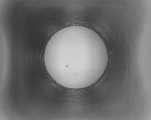 X0000111810576200907231018