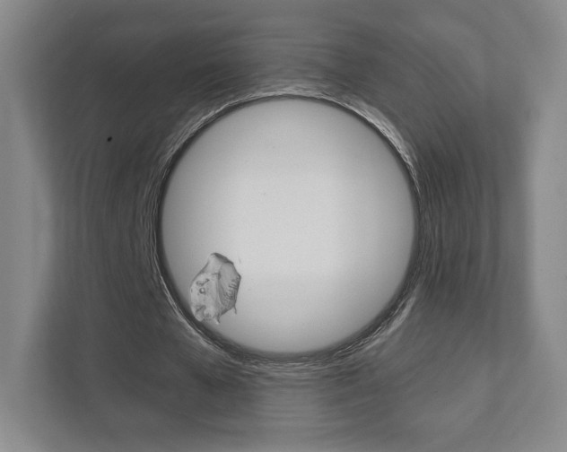 X0000111810577200907231018