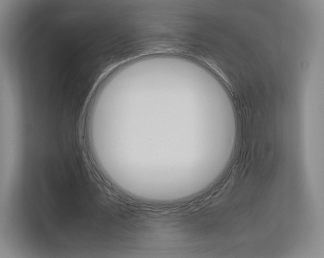 X0000111810579200907231018
