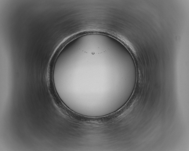 X0000111810580200907231018