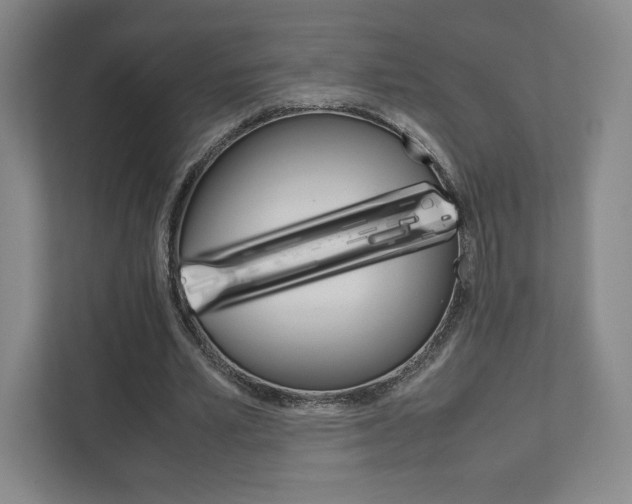 X0000111810581200907231018