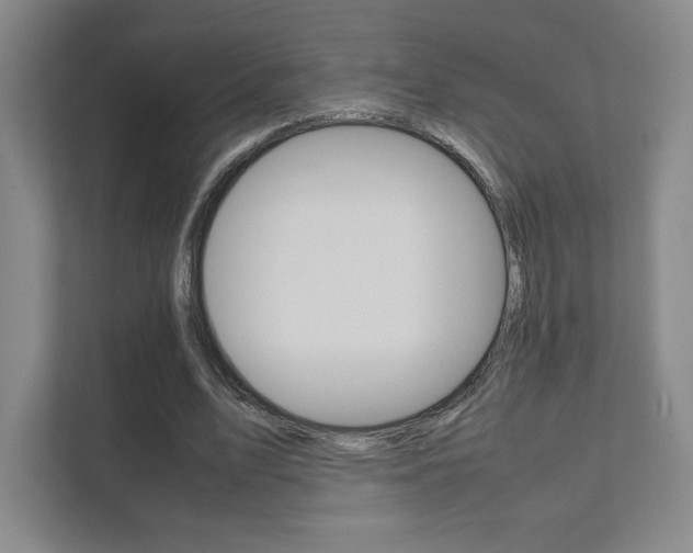X0000111810583200907231017
