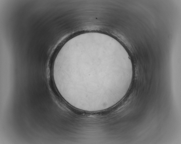 X0000111810584200907231017