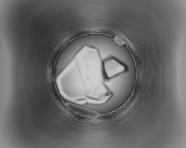 X0000111810585200907231017