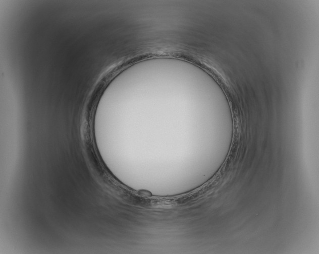 X0000111810587200907231017