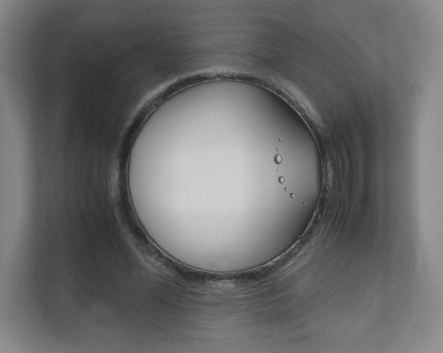 X0000111810588200907231017