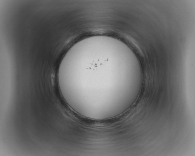 X0000111810596200907231017