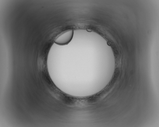 X0000111810599200907231017
