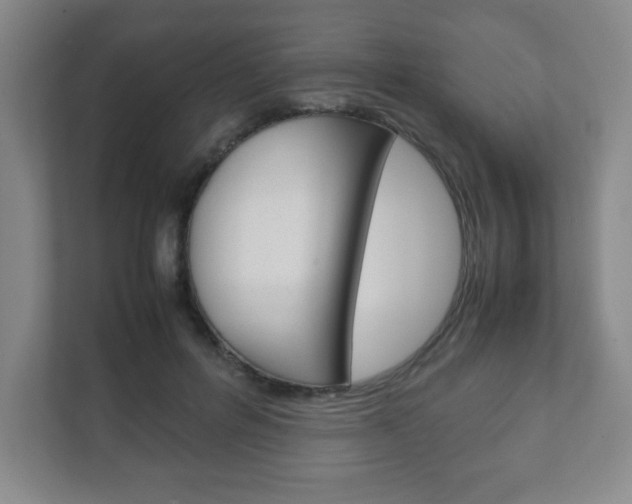 X0000111810600200907231017