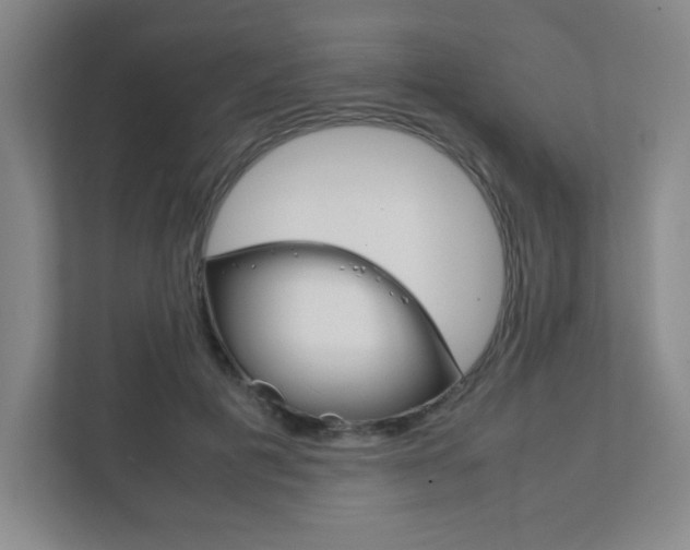 X0000111810601200907231017
