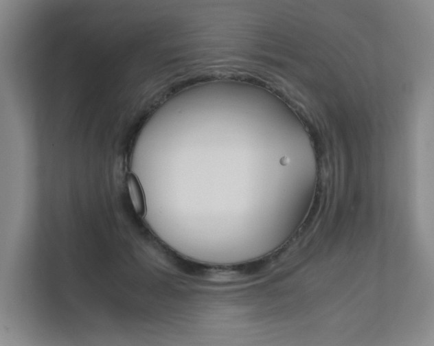 X0000111810605200907231017