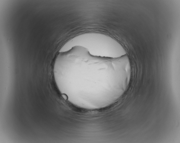 X0000111810609200907231017
